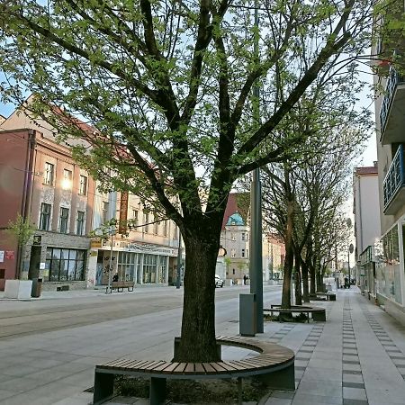 Apartament Bulwar Gorzow Wielkopolski Luaran gambar
